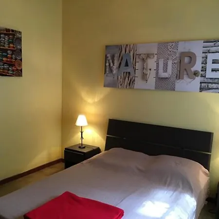 Maison Avec Piscine, Animaux Admis - 11 Pers. - Fr-1-881-27 * 비엘-생-지롱